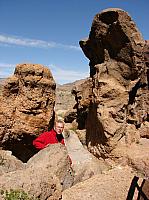 mojave (12) (Copier).JPG